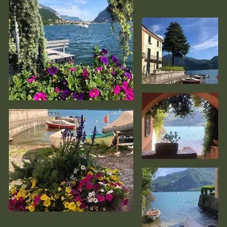 Casa Ori *